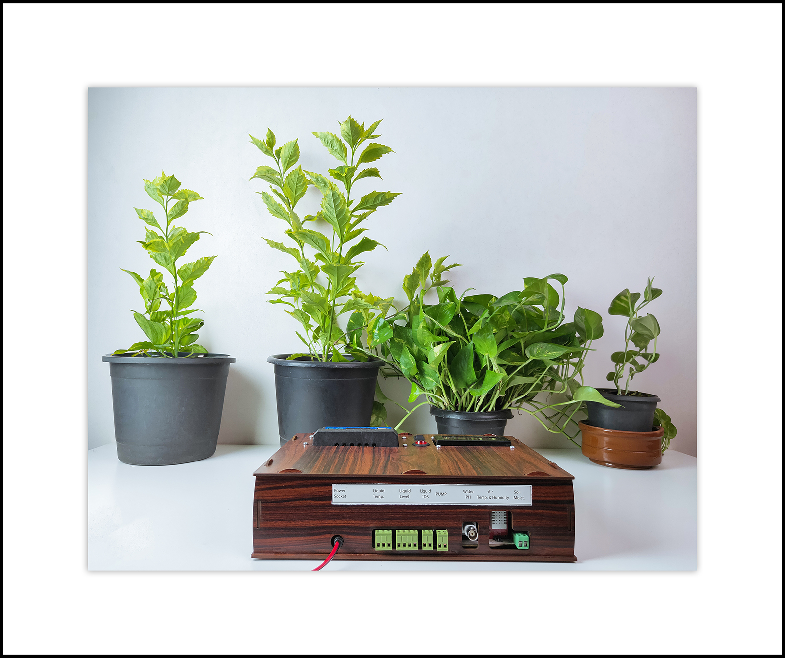 Z-Garden For Smart Irrigation